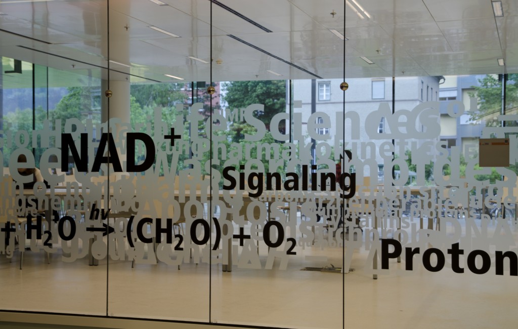 CCB – Centrum für Chemie und Biomedizin