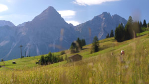 Info-Trailer Zugspitz Arena