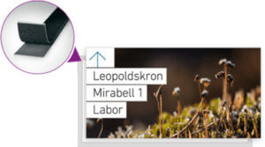 example-img