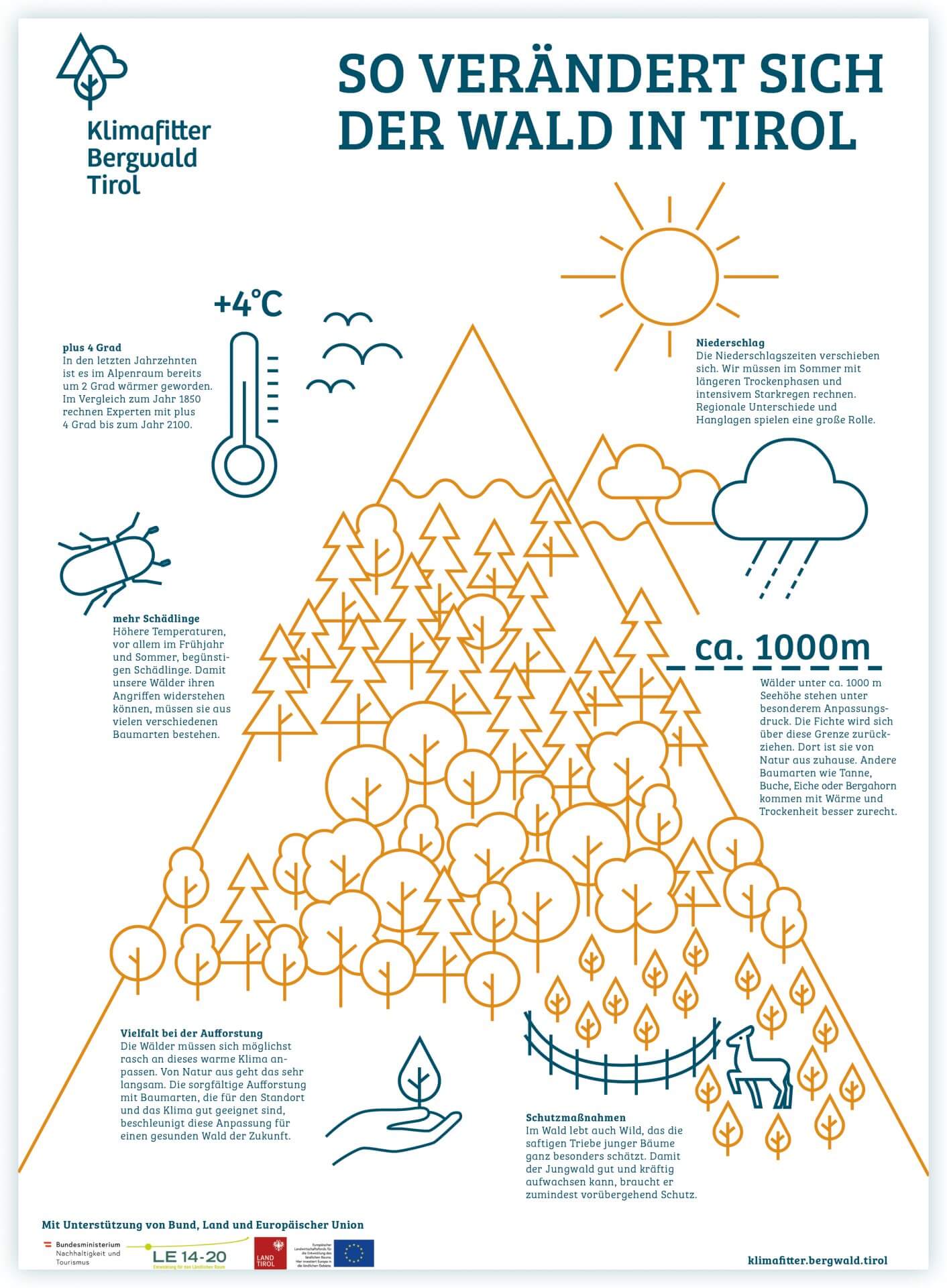 Klimafitter Bergwald Tirol