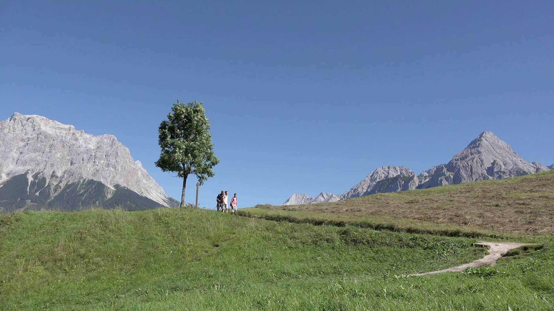 Tiroler Zugspitzarena – Moosle’s Forscherpfad