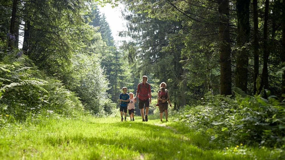 Wiener Alpen Cinemagraphs